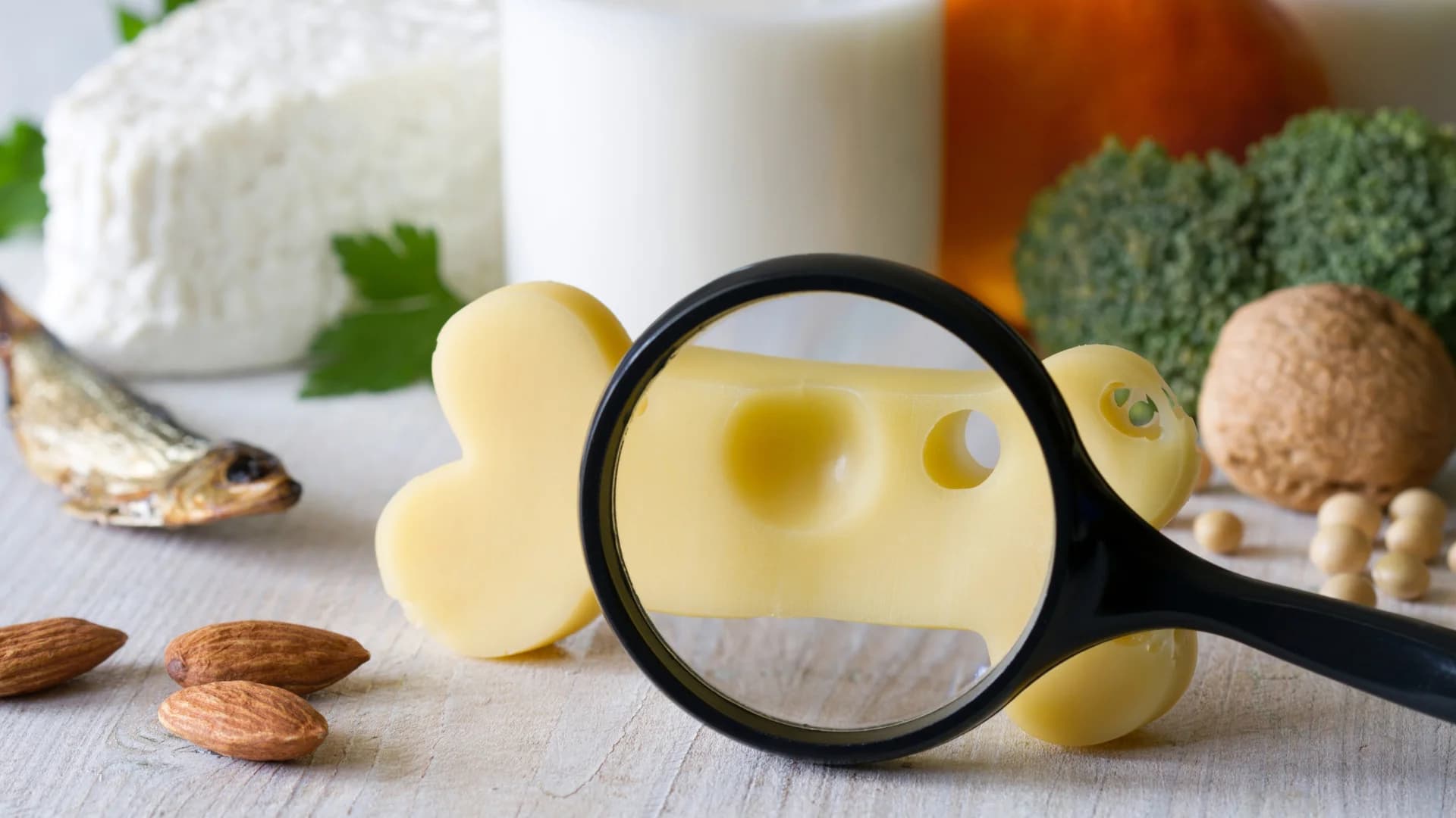 骨密度與老化總覽