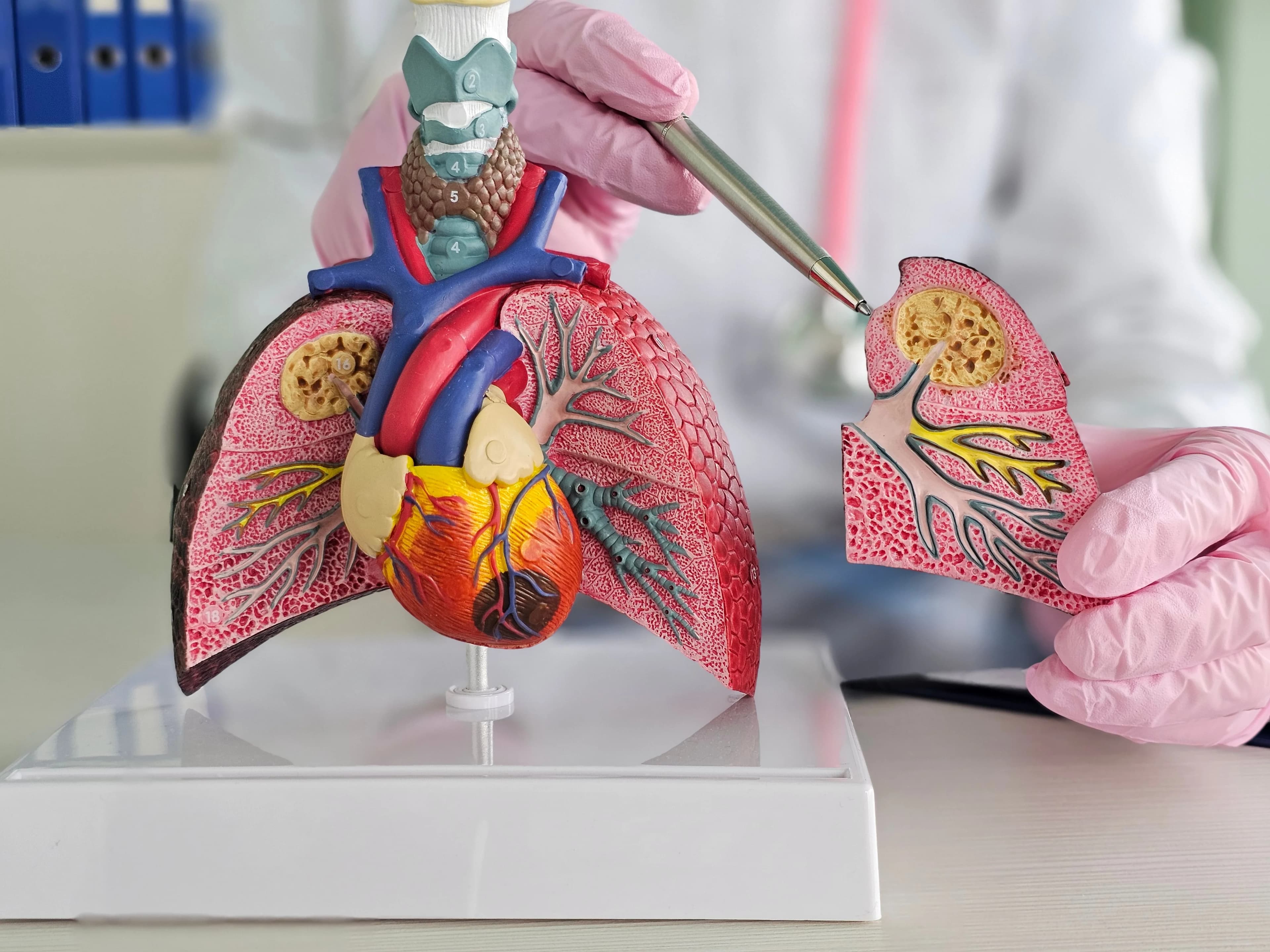 Chronic care plan discussion during clinic visit