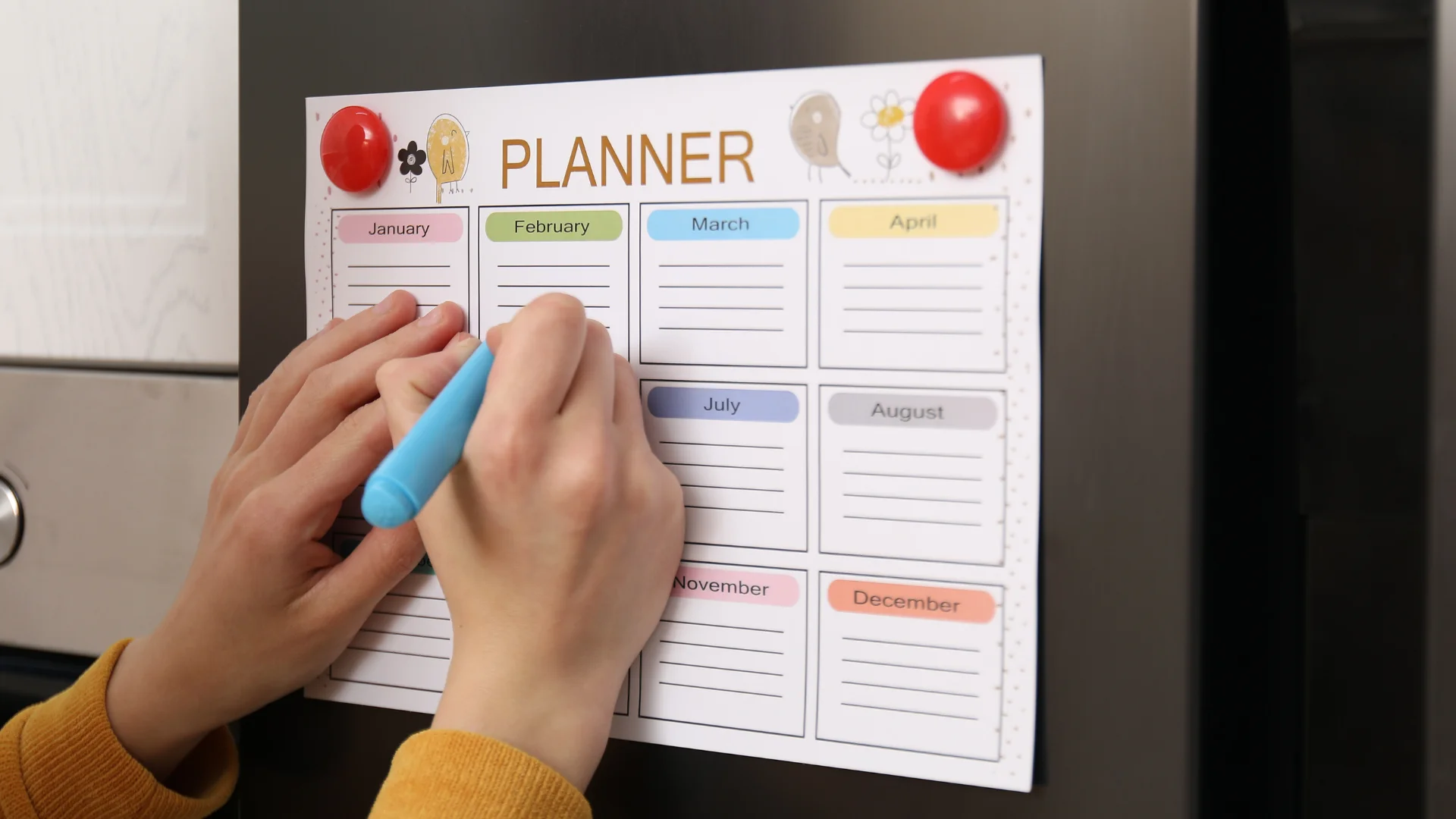 Organizing Your Care Plan